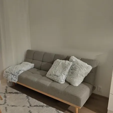 公寓 Jaakonkatu Center 罗瓦涅米